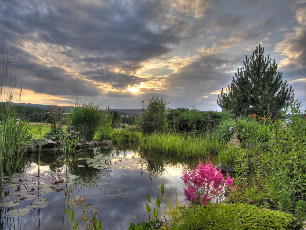 Gartenteich am Abend