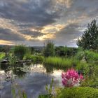 Gartenteich am Abend