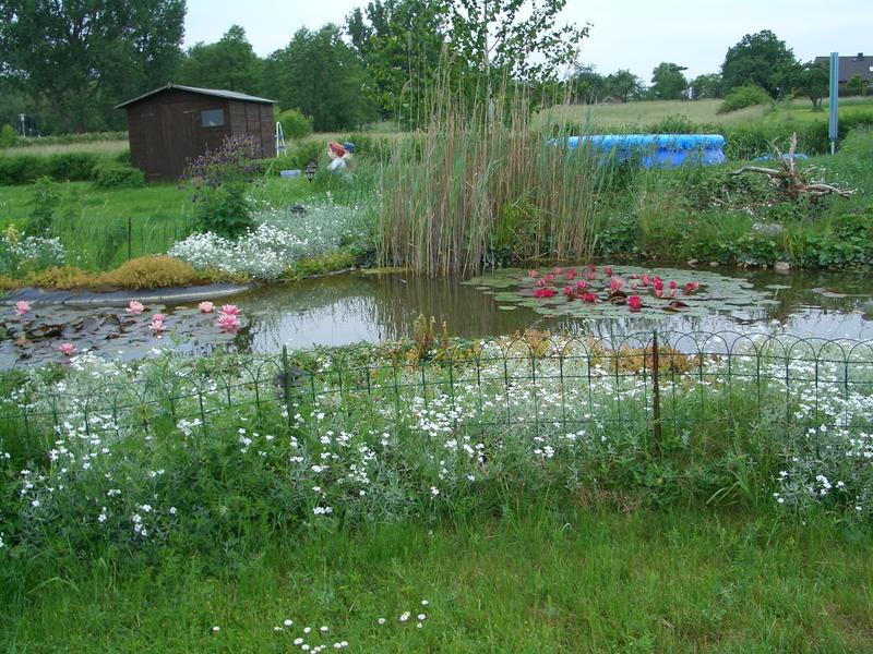 Gartenteich