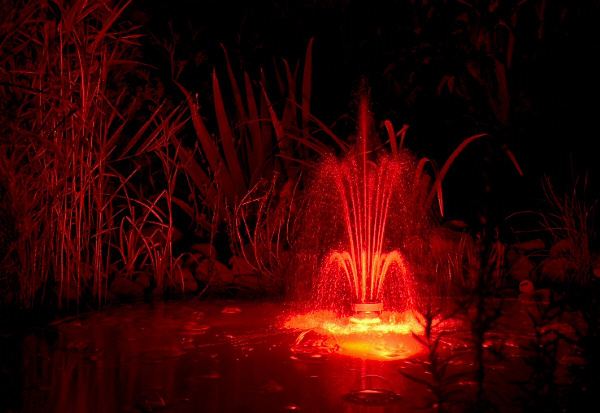 Gartenteich bei Nacht