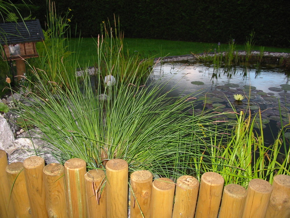 Gartenteich bei Nacht im Regen