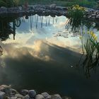 Gartenteich