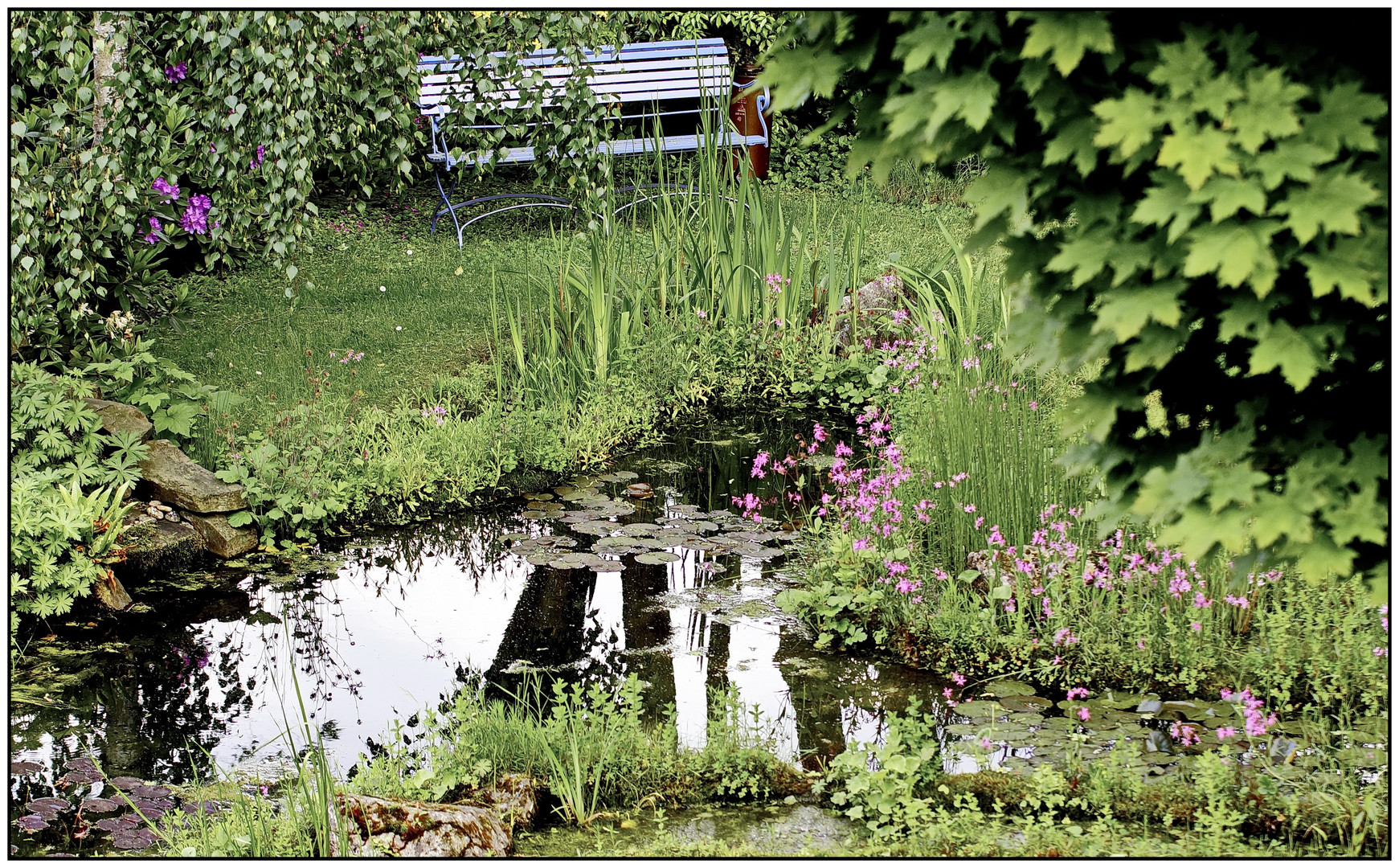 Gartenteich Ende Mai