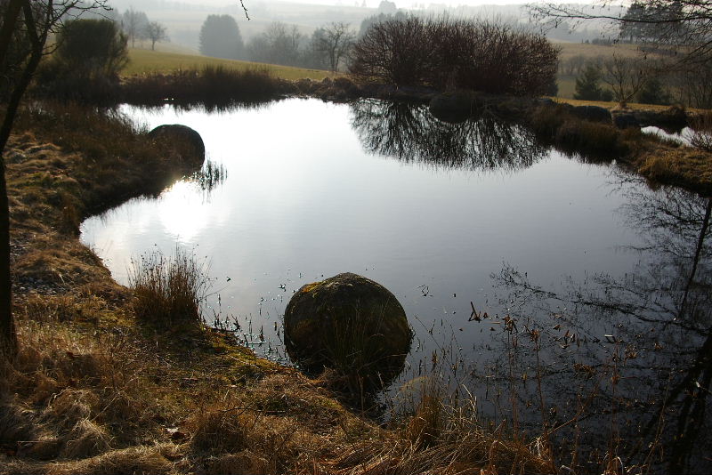 Gartenteich