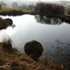 Gartenteich