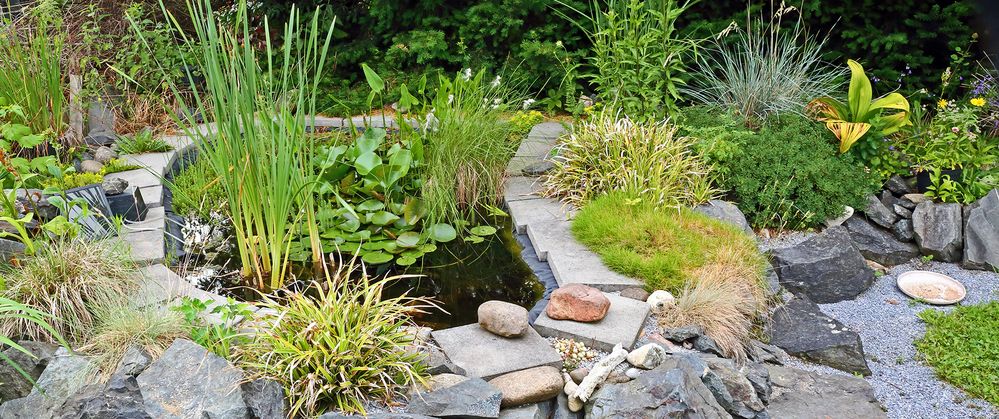 Gartenteich mit der Pumpe für das Wasser, die mit Sonnenenergie arbeitet...