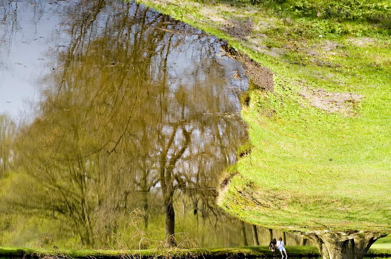 Gartenteich mit Freunden