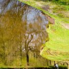 Gartenteich mit Freunden