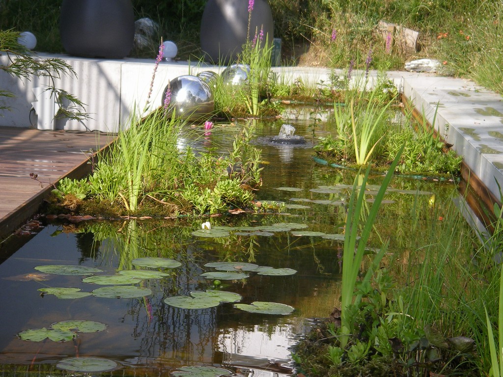 Gartenteich mit Koi-Fischen