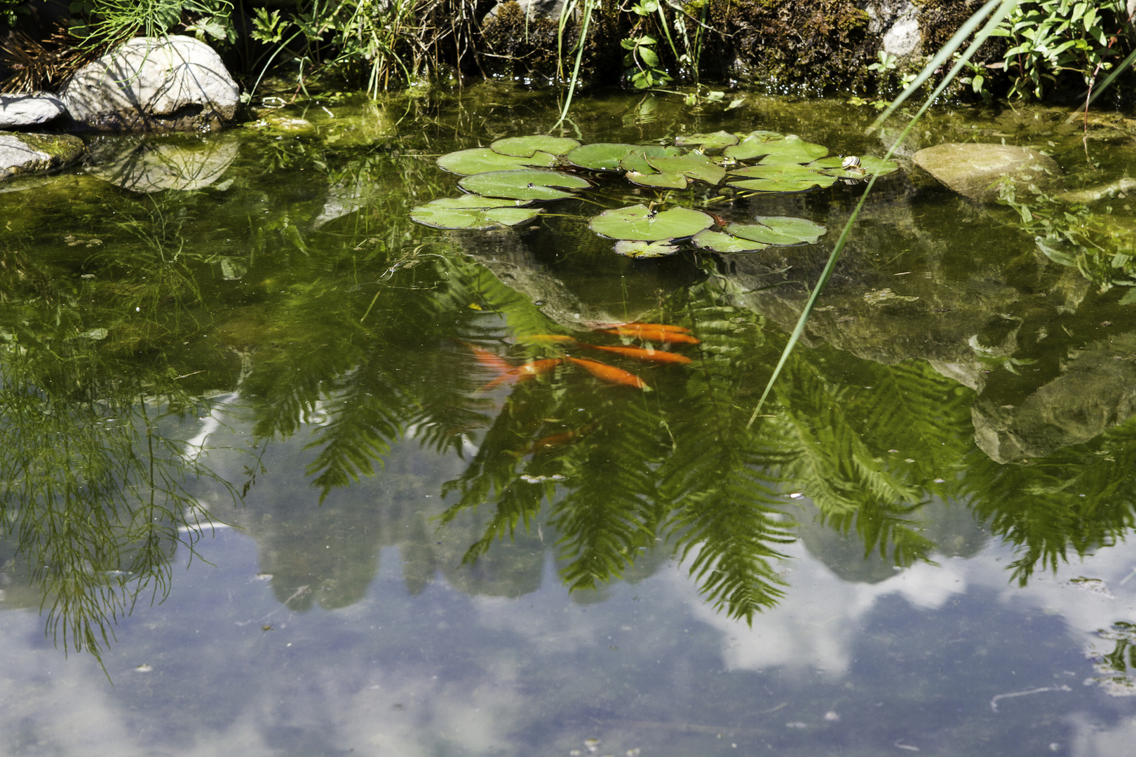 Gartenteich mit spiegelnden Kreuzbergen