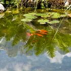 Gartenteich mit spiegelnden Kreuzbergen