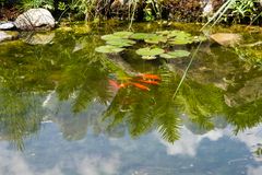 Gartenteich mit spiegelnden Kreuzbergen