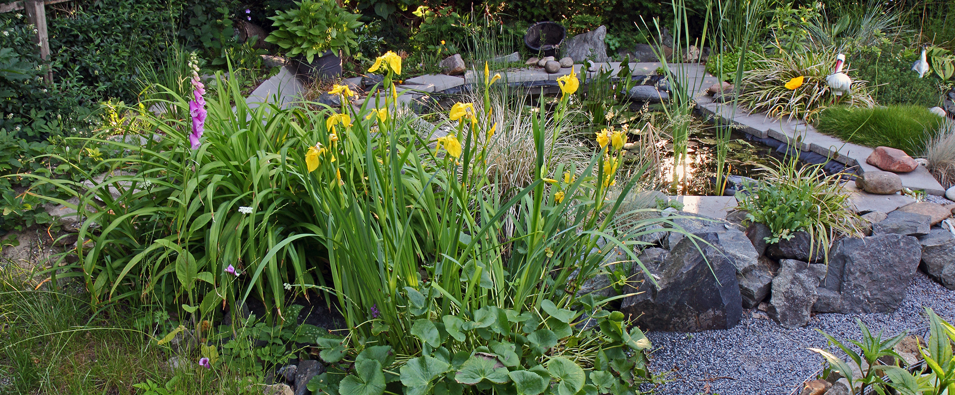 Gartenteich und Randbepflanzung als breites Bild