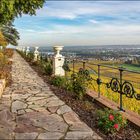 Gartenterrasse von Schloss Johannisberg 