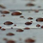 Gartentisch nach dem Regen