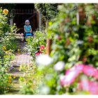 Gartenträume.... wunderschöne Kinderzeit...