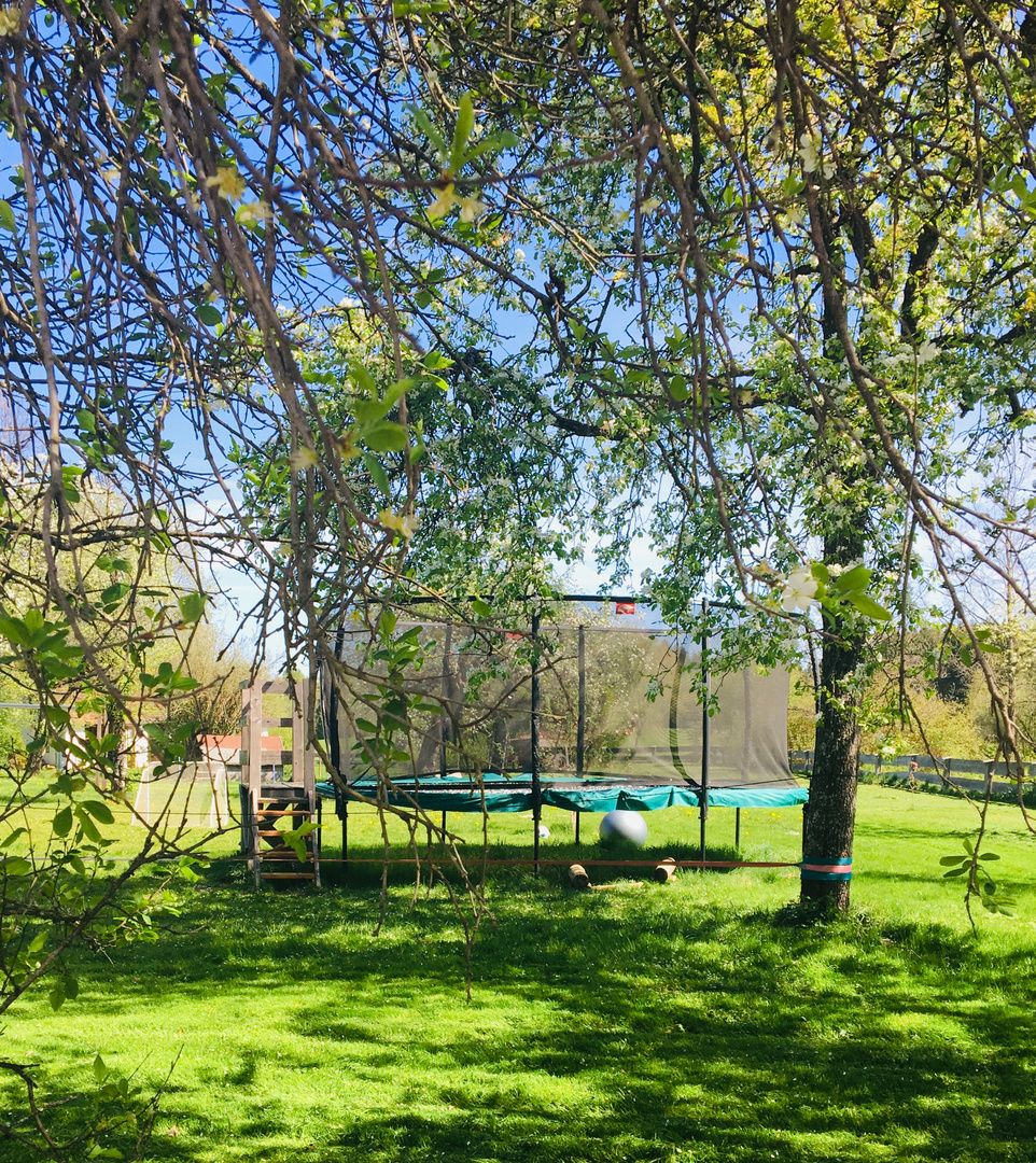 Gartentrampolin am Golfplatz