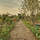 Gartenweg im Frühling