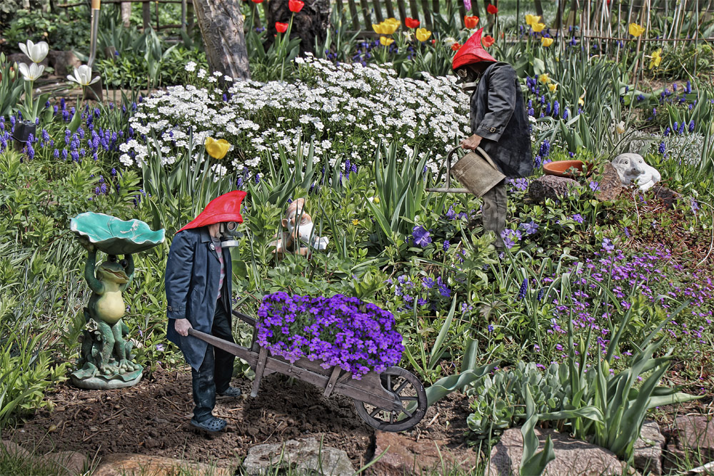 Gartenwetter