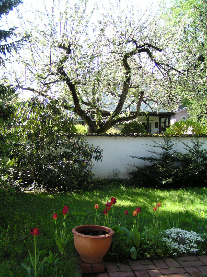 Garten_Wilhelm_Busch 002