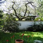 Garten_Wilhelm_Busch 002