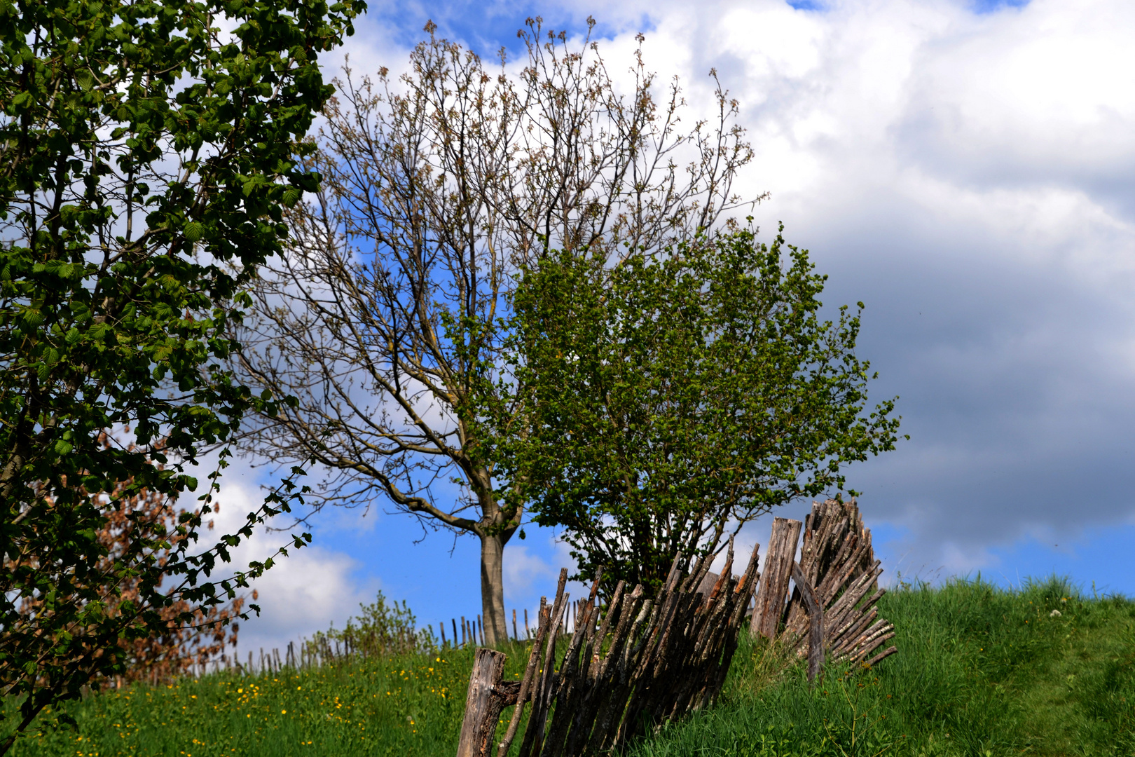 Gartenzaun Foto & Bild | architektur, lost places, gartenzaun Bilder