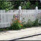 Gartenzaun mit herausragenden Blumen