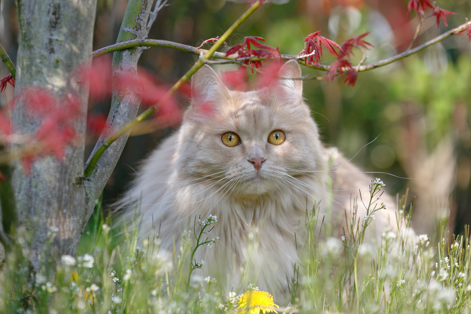 Gartenzeit