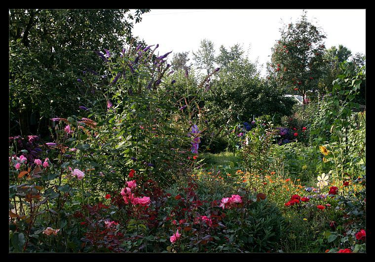 Gartenzeit