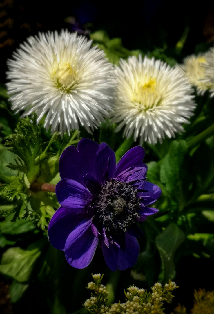 "Gartenzeit ist Seelenzeit"