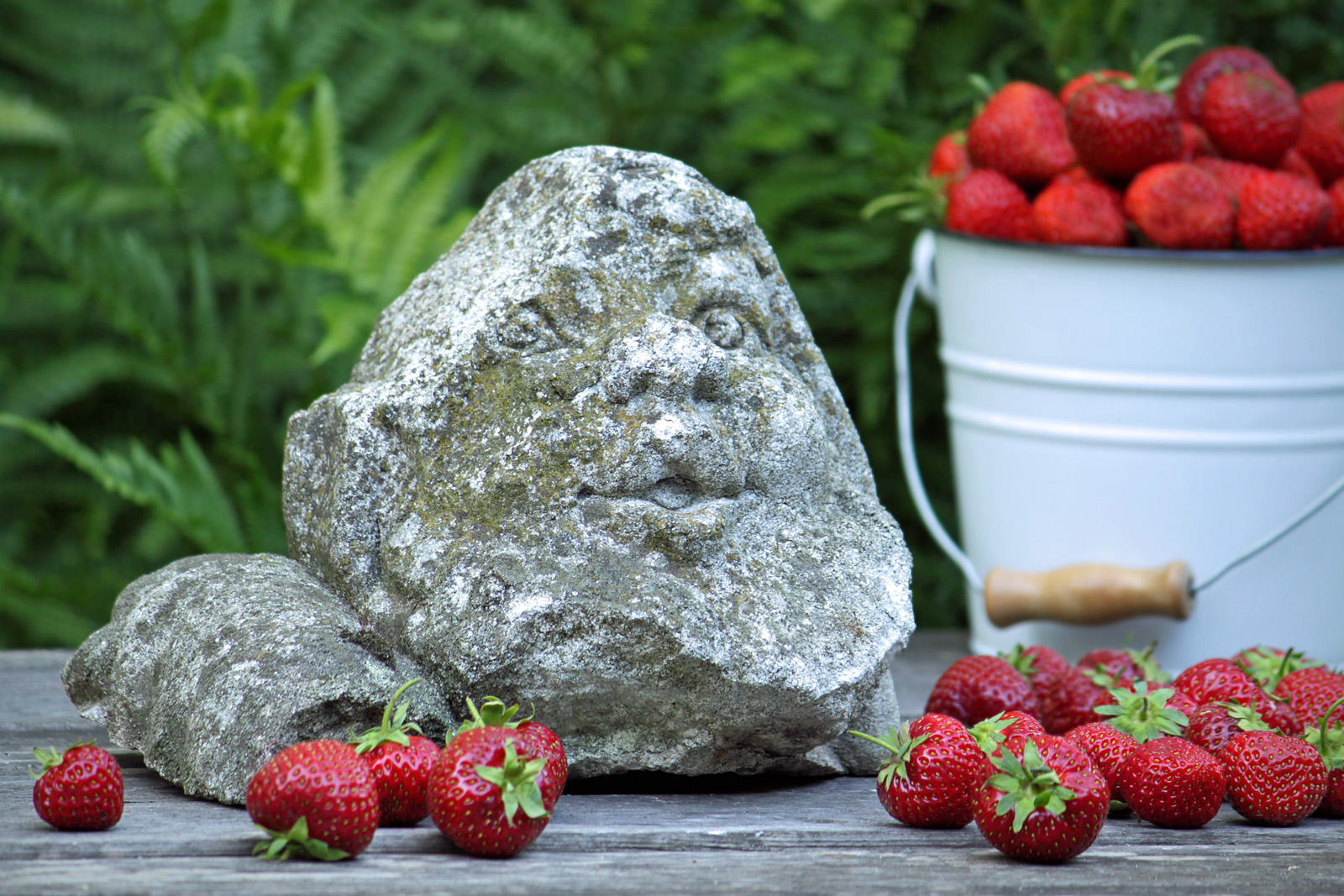 Gartenzwerg und Erdbeeren