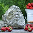 Gartenzwerg und Erdbeeren