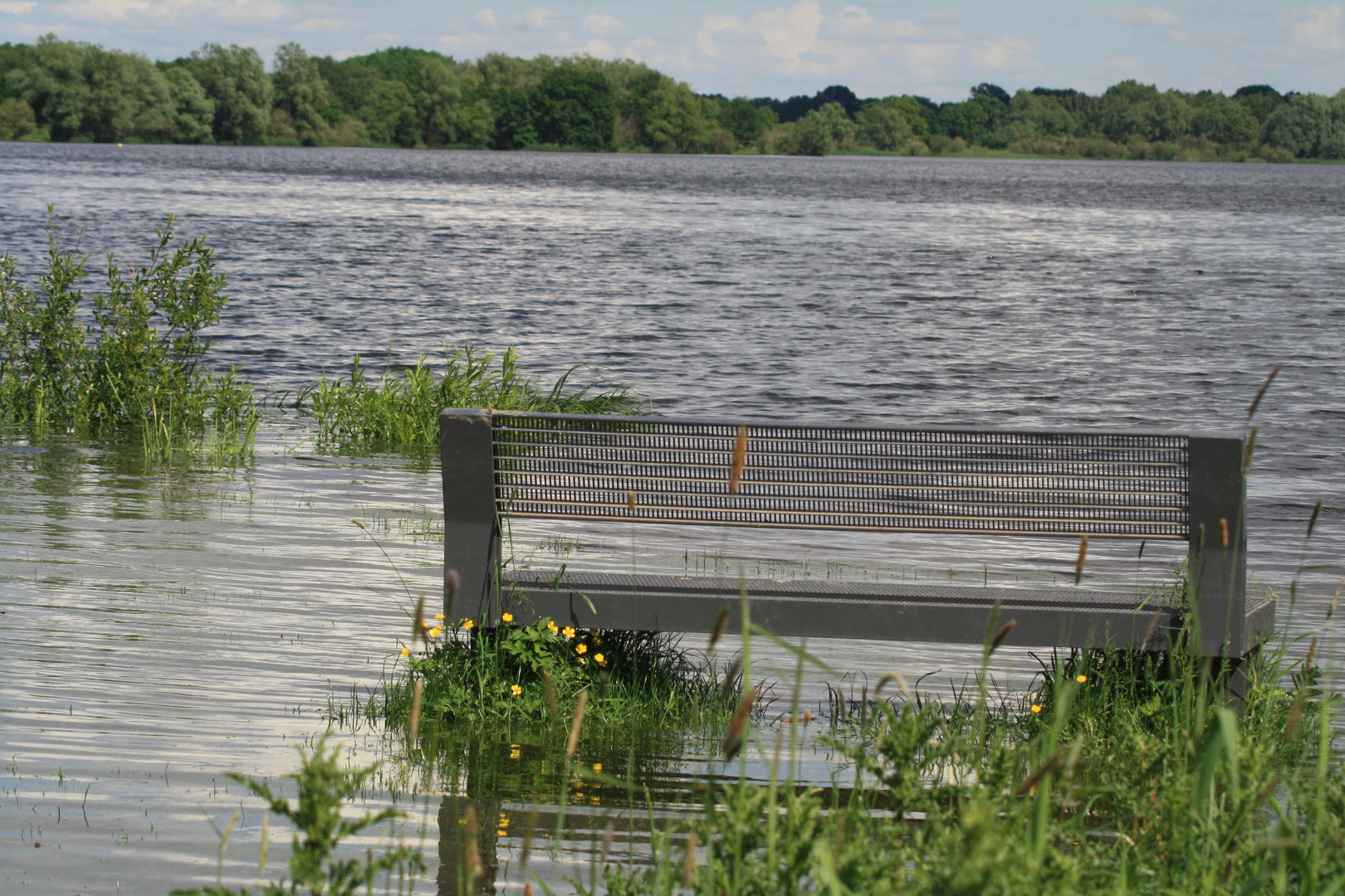 Gartower See Hochwasser 2013