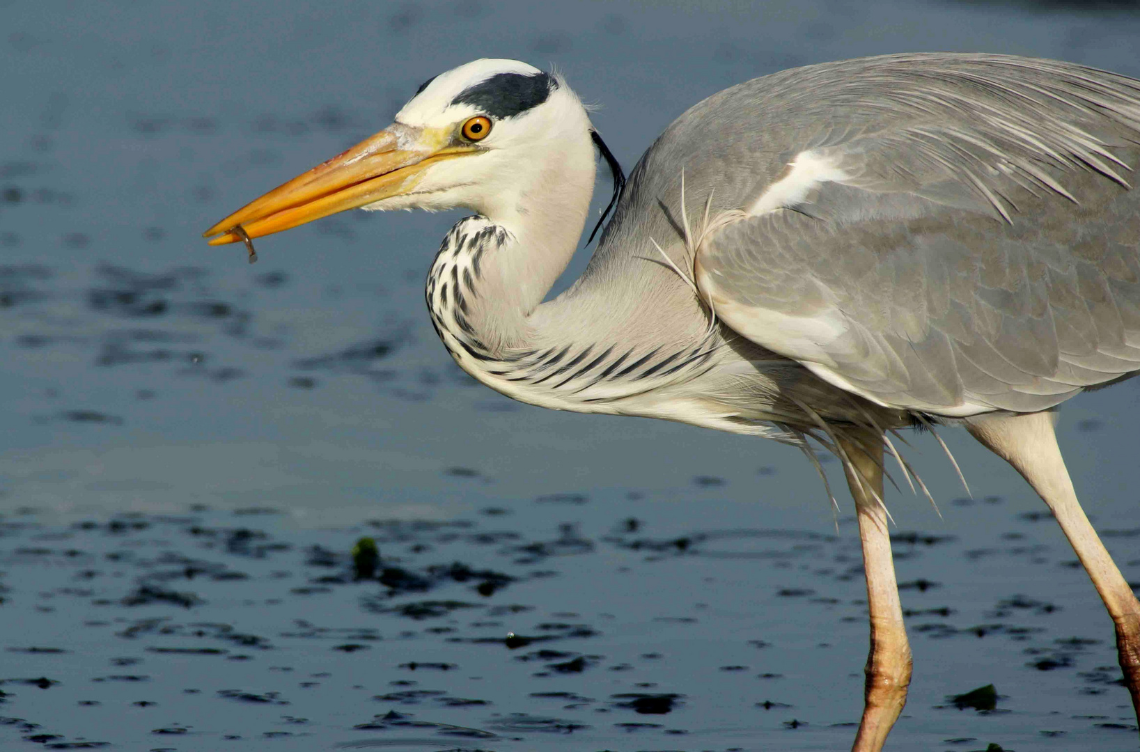 Discovering The Wonders Of Garza: A Comprehensive Guide For 2024