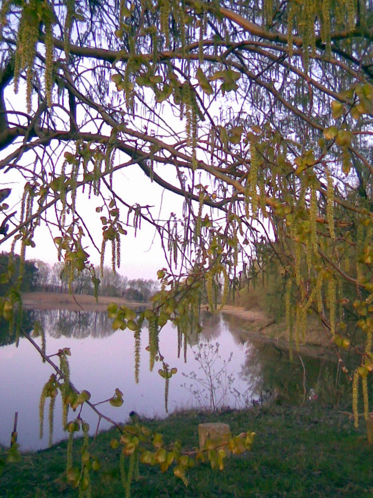 Garzer See