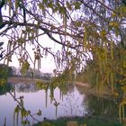 Garzer See