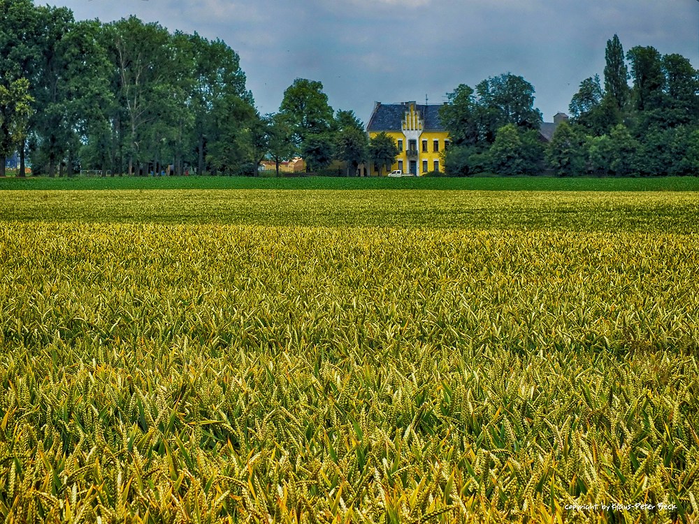 Garzweiler 2012 oder die letzte Ernte