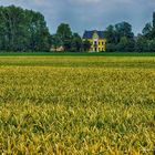 Garzweiler 2012 oder die letzte Ernte