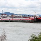 "Gas 24" bei Biebesheim auf dem Rhein