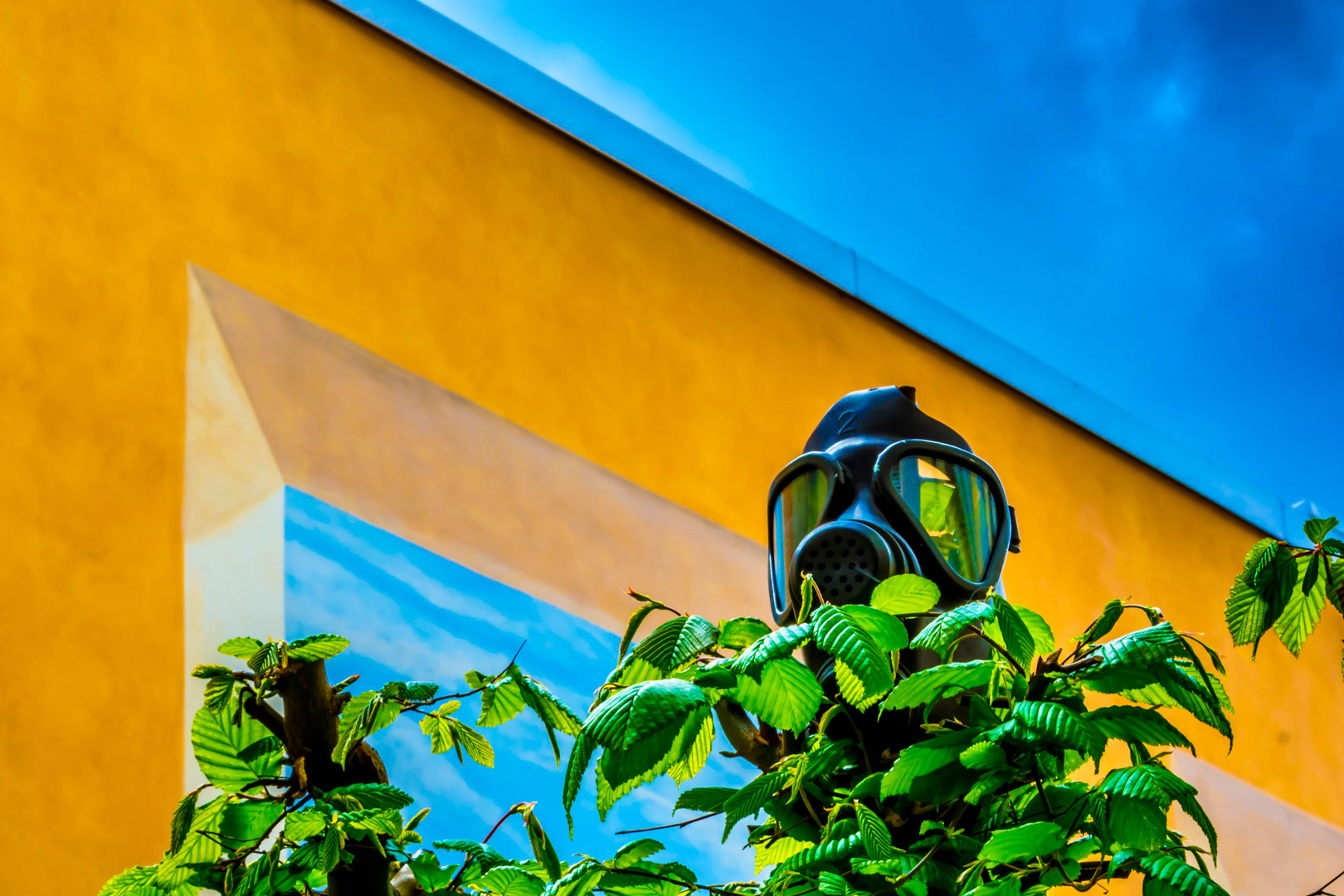 Gasmaske auf Hecke gegen Himmel