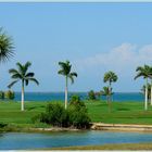 Gasparilla Island - Blick zur Bay-Seite