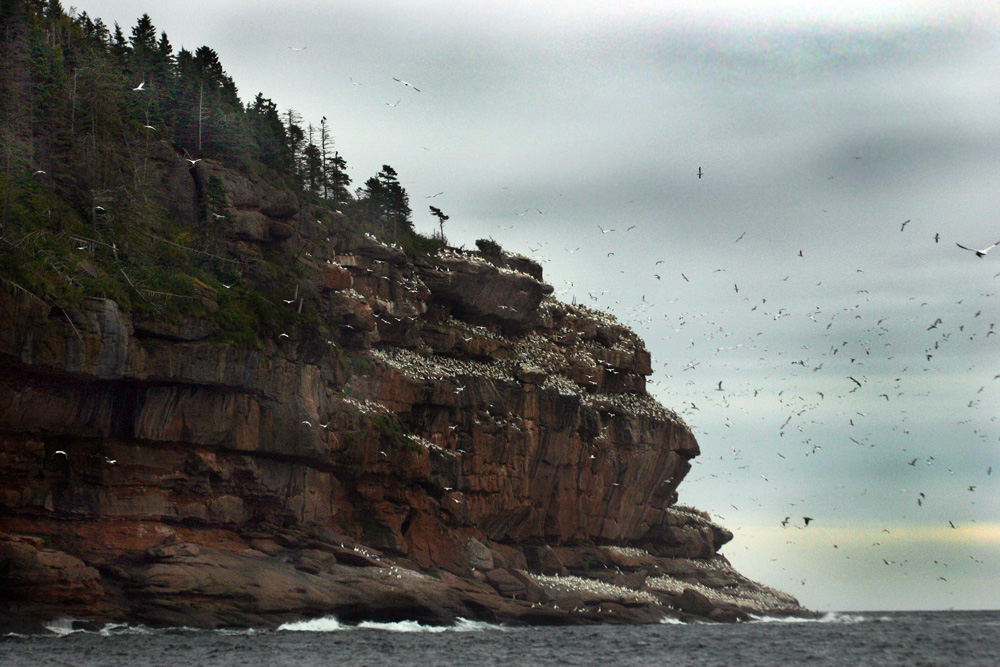 Gaspésie