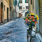 Gasse am Morgen - Valencia