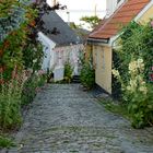 Gasse auf Fünen