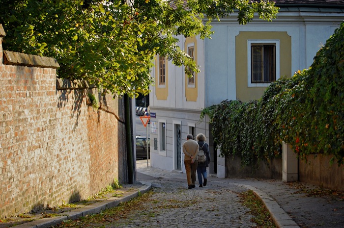 Gasse beim Kahlenberg