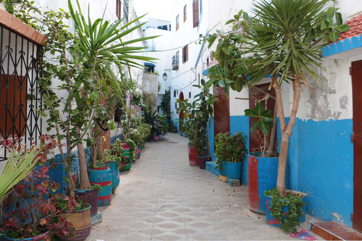 Gasse in der Altstadt von Asilah/Marokko.