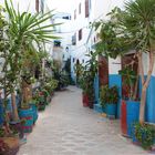 Gasse in der Altstadt von Asilah/Marokko.