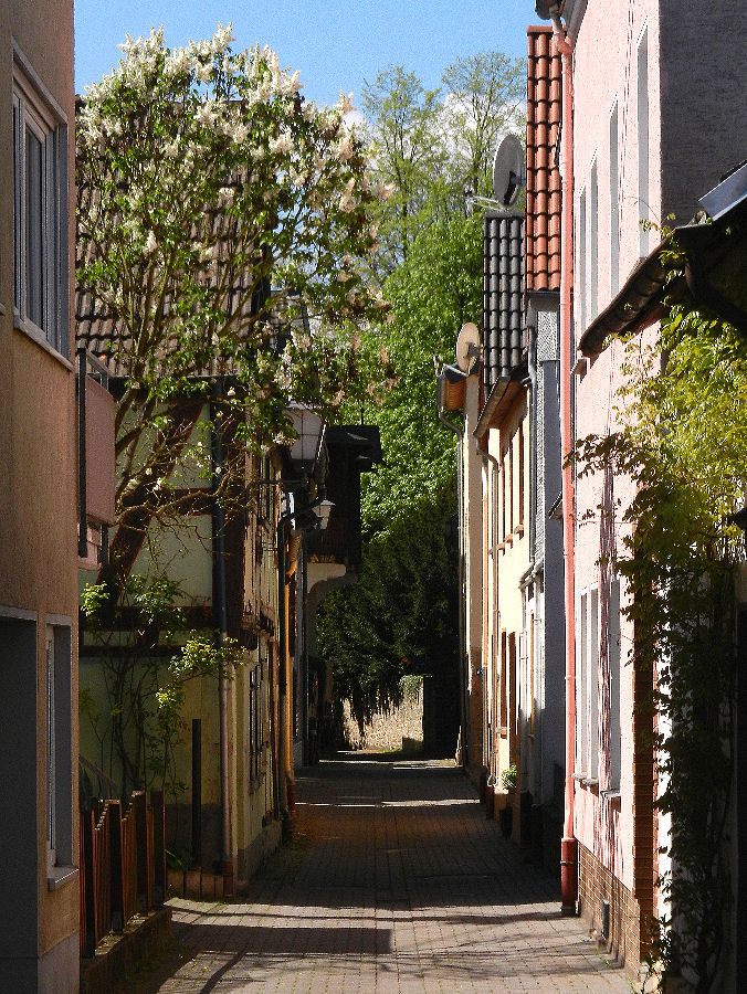 Gasse in Erpel