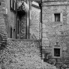 Gasse in Erto