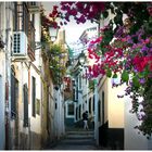 Gasse in Granada